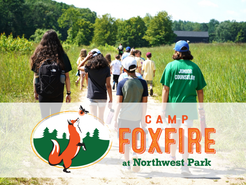Camp Foxfire (PreK – Grade 8) image