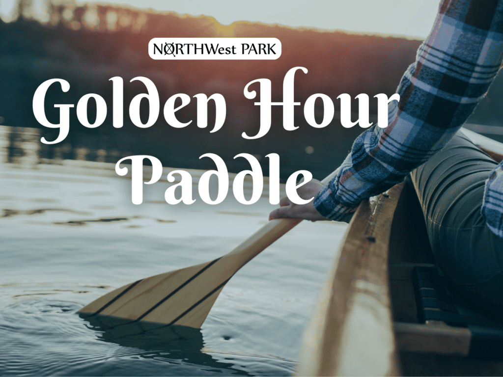 Golden Hour/Full Moon Paddle (Ages 12+) image