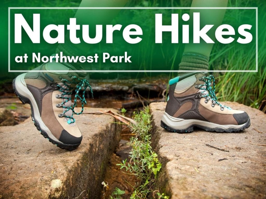 Nature Hikes at NWP (Ages 12+) image