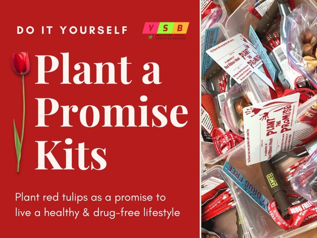 DIY Plant a Promise Kits (All Ages) image