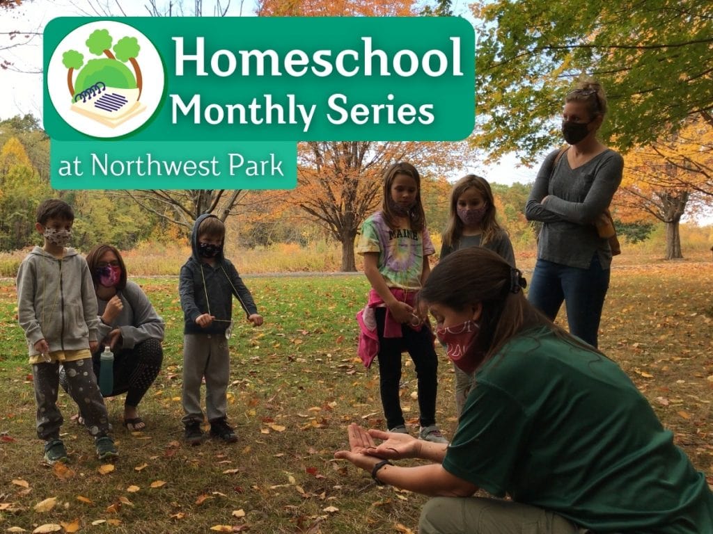 Monthly Homeschool Series (Ages 5-14) image