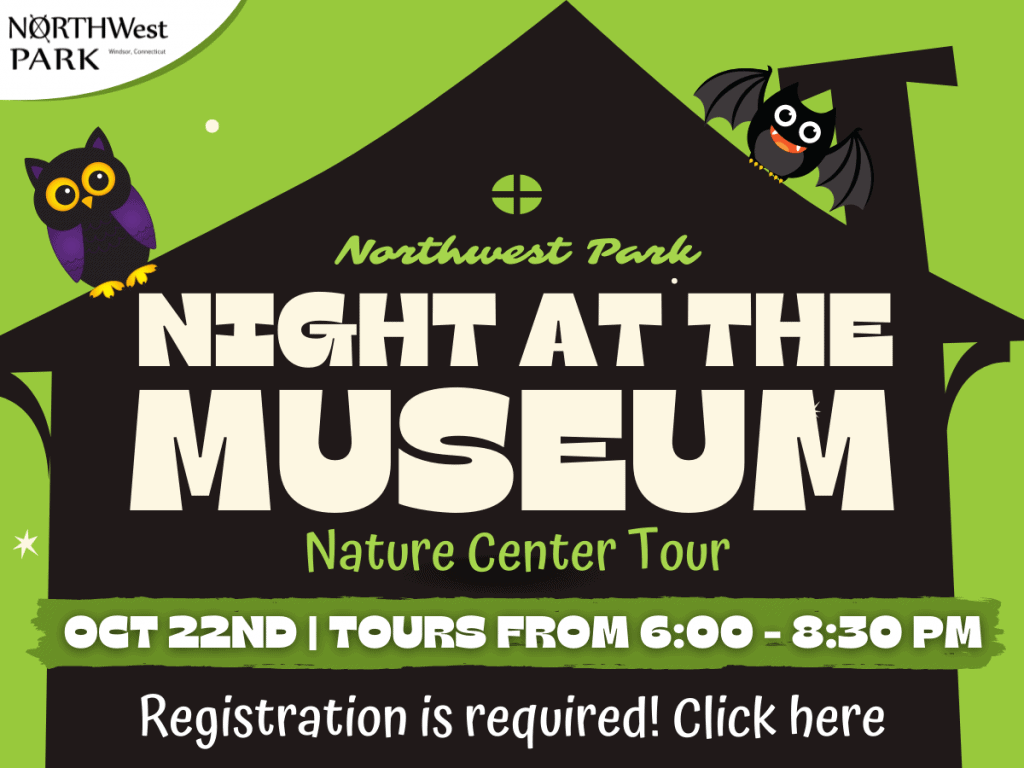 Night at the Museum (Ages 5-12) image